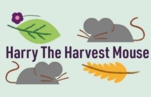 Harry The Harvest Mouse