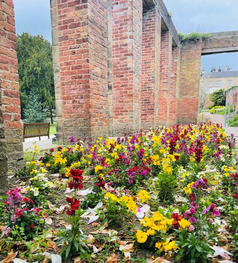 Cannon Hall Museum, Park & Gardens – Volunteer Consultation