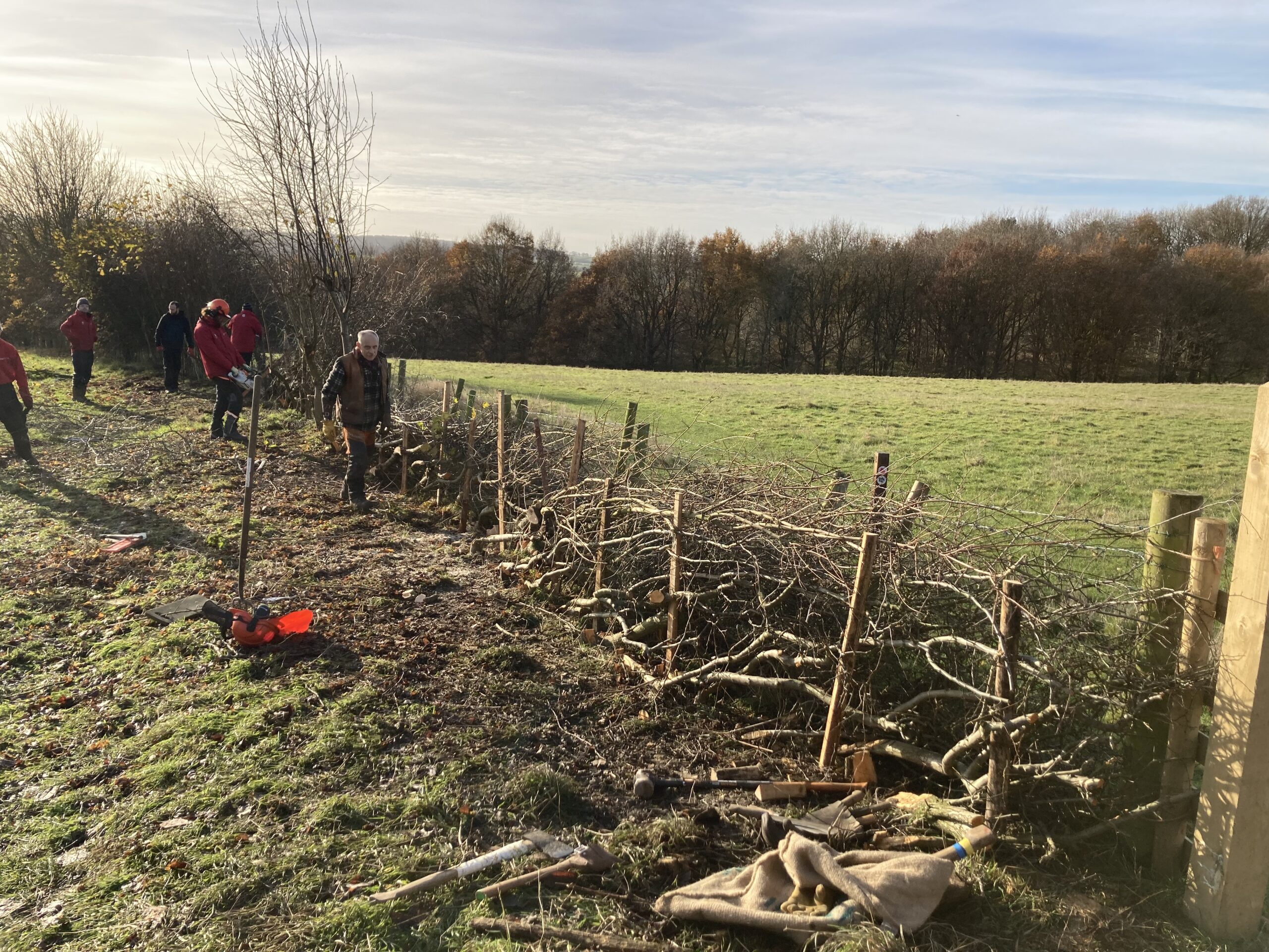 Heritage Skill of Hedge Laying at Wentworth Castle Gardens