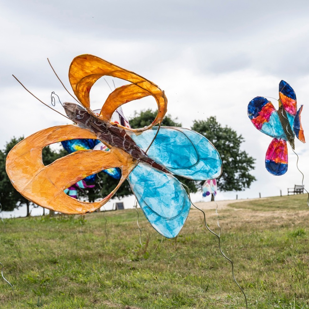 The Grasslands Project at Wentworth Castle Gardens