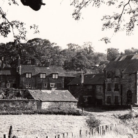 Trouble at T’Mill – A Miller’s Life
