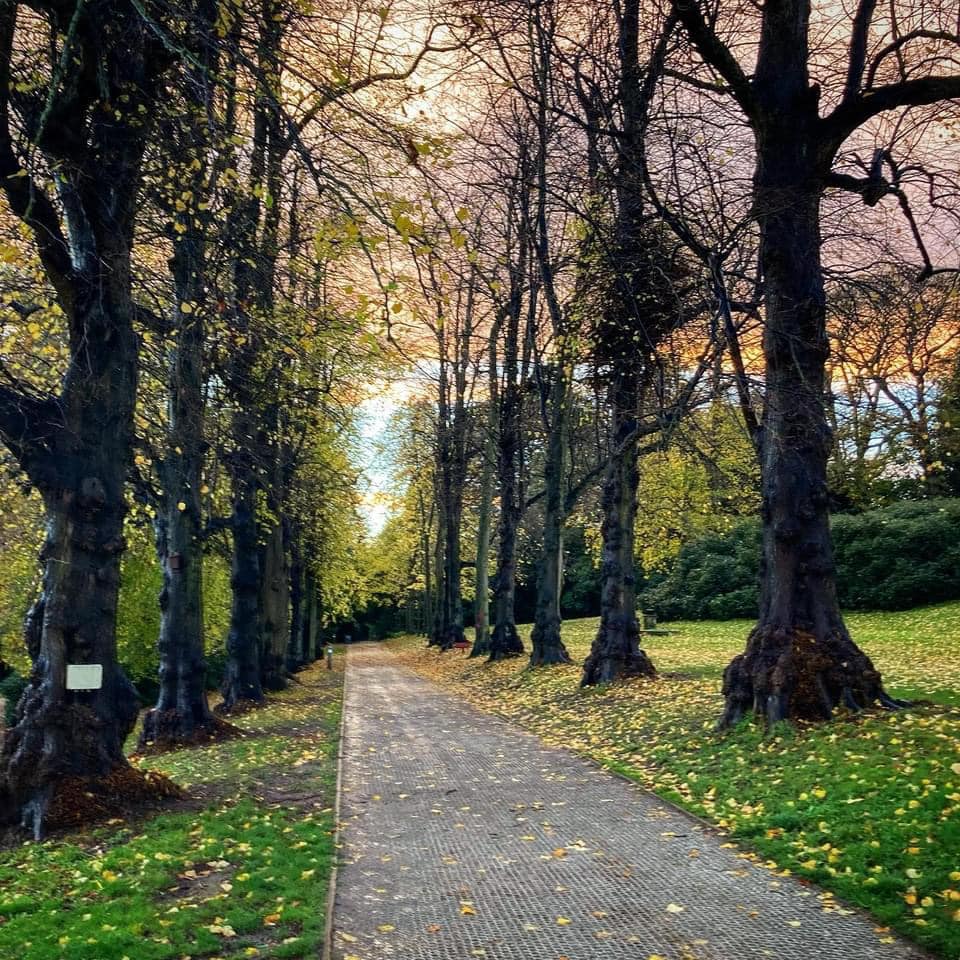 Corporate Volunteering at Cannon Hall